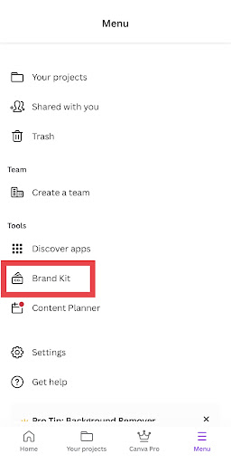 Select Brand Kit from the Menu Panel