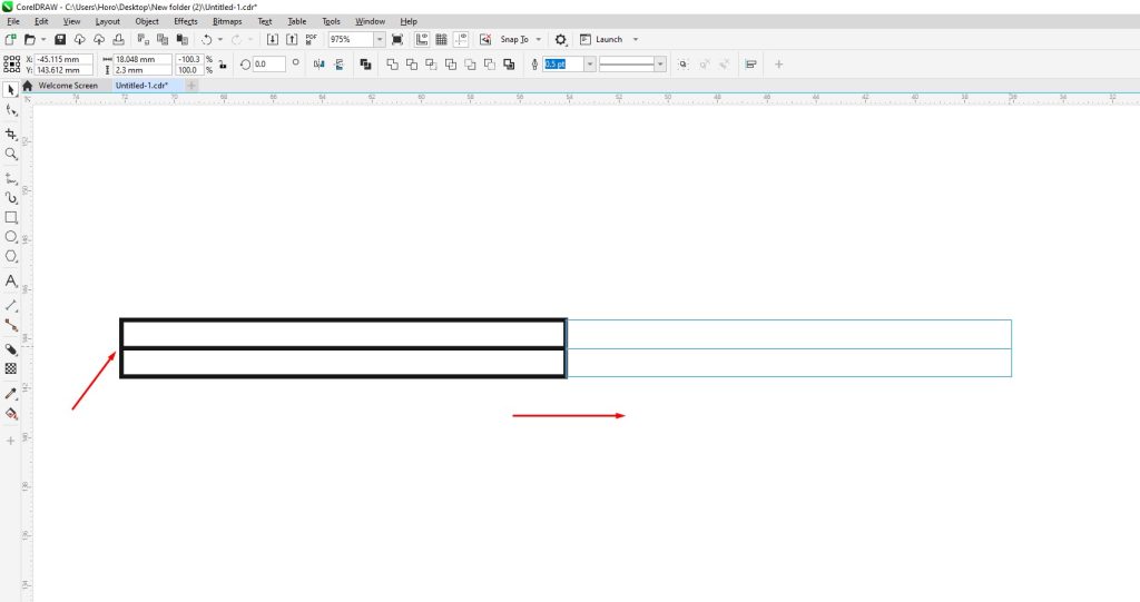 CorelDRAW double window