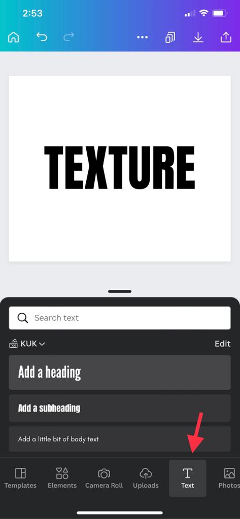 Add text using the text button in the bottom panel