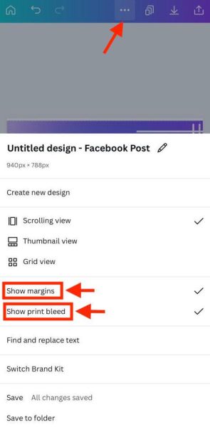 Show margins and print bleed